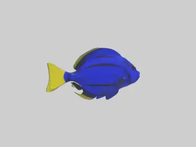 Blue Tang darting through coral model Low-poly 3D model