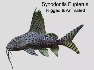 Synodontis Eupterus Low-poly 3D model
