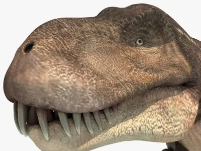 Realistic Tyranasaurus rex Low-poly 3D model