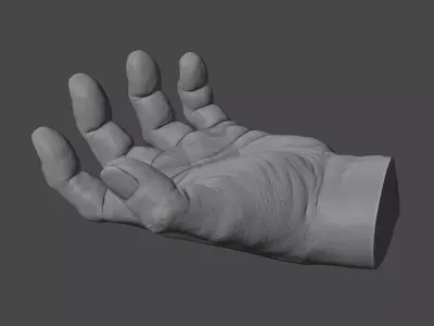 Human hand 3D model