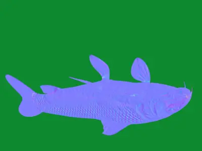 Barbeel Fish Low-poly 3D model