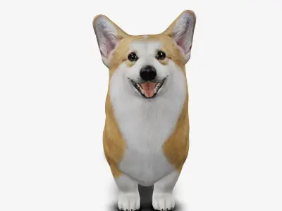 Dog Welsh Corgi Low-poly 3D model