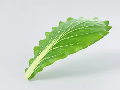 Cartoon Lettuce 3D model
