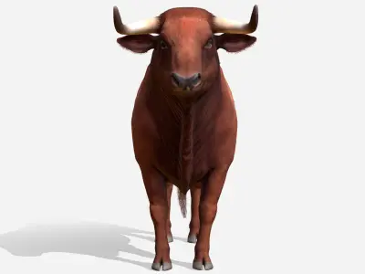 Bull 3D model