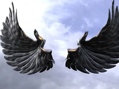 Black Knight Wings 3D model