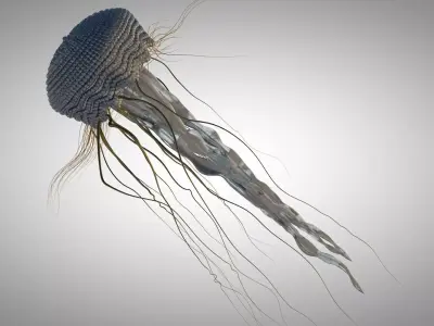Jelly Fish Mechanical  3D model