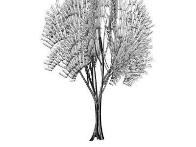 Cartoon tree S2Av3 Free 3D model