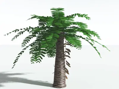 EVERYPlant Pseudoctnis Cycad LowPoly 2 --12 Models-- Low-poly 3D model