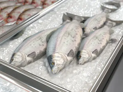 commercial refrigerator for fish and sea creature - NO-3 Low-poly 3D model