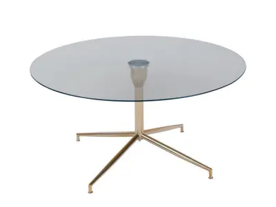 Coffee Table Free 3D model 17