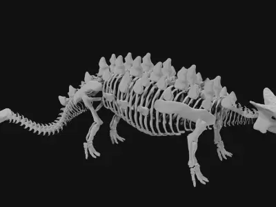 Ankylosaurus skeleton 3D model