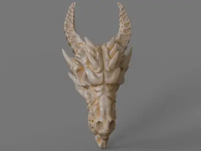 Dragon skull 3D print model