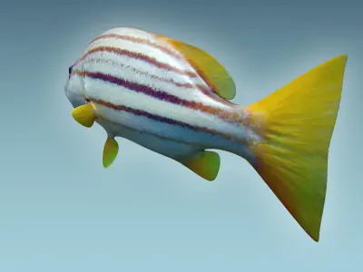 Snapper Fish 3D model