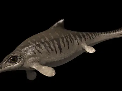 Ophthalmosaurus Asset Pack Low-poly 3D model