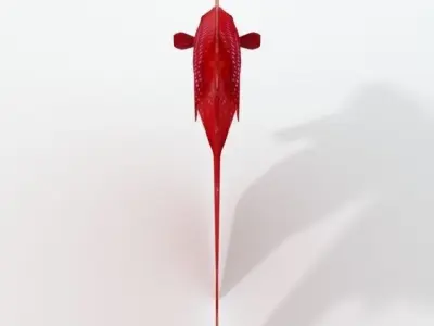 Fish Betta Low-poly 3D model