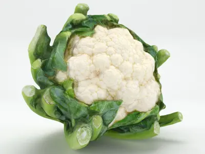 Cruciferous Collection 2 3D model