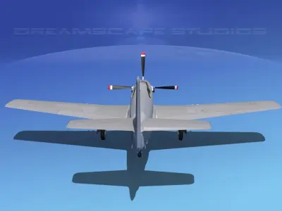 North American Mustang X Bare Metal 3D model