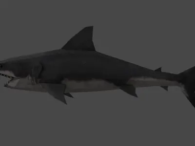 Shark great Low-poly 3D model