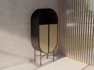 Cane cabinet 3D model 3D model