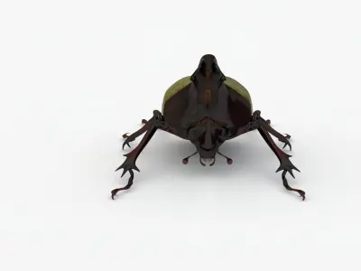 Hercules Beetle Realistic Low-poly 3D model