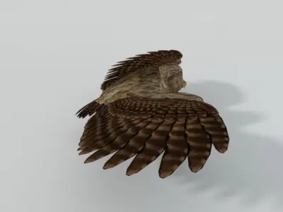 Owl bird Low-poly 3D model