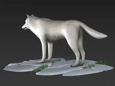 arctic wolf Labrador american mammal wolf 3D model