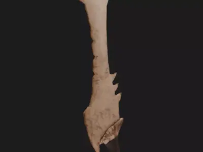 Ancient Fantasy Bone Sword 3D model