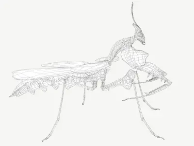 Giant Devils Flower Mantis Low-poly 3D model