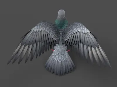 Pigeon Game Ready with wings spread Low-poly 3D model
