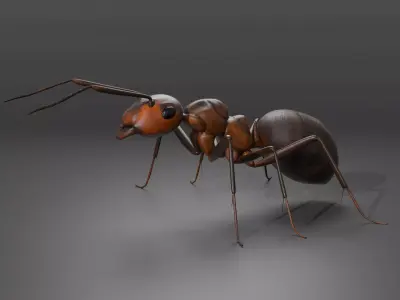 Ant 3D model Rigged 3D model
