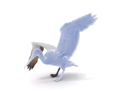 Elegant Seagull Model Pack Low-poly 3D model