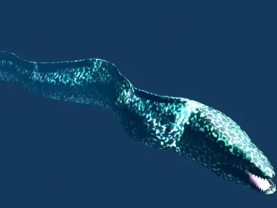 Moray fish swimming in ocean Low-poly 3D model