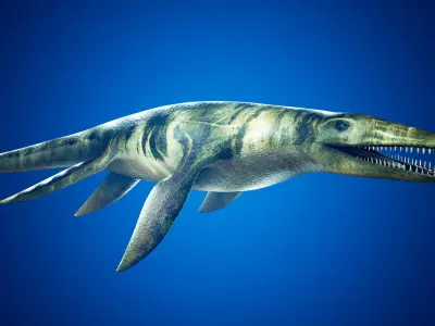 Realistic Pliosaur Mosasaurus with UE4 Support Low-poly 3D model