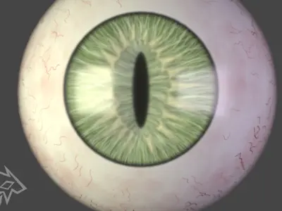 3D eyes with 6 varing eye colours- Rigged 3D model