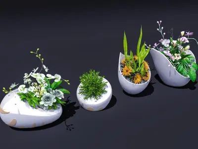 floriculture Flowers cylinder commercial design 3D model