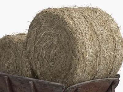 Wooden Wheelbarrow with Hay Bales Brown 3D model