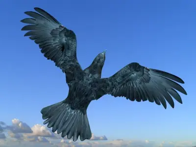 Crow modeling and rigged For 3d max Low-poly 3D model