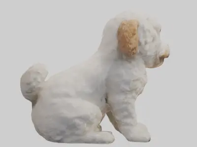Cockapoo wagging tail model 3D model