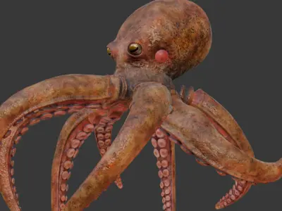Swimming Octopus Low-poly 3D model