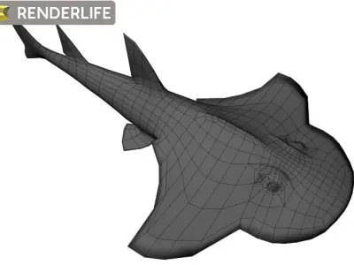 Angel Shark with animation 3D model