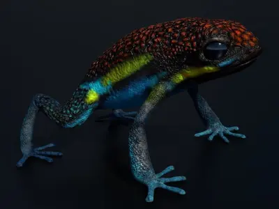 Arrow Frog rigged VR AR low-poly 3d model Free low-poly 3D model