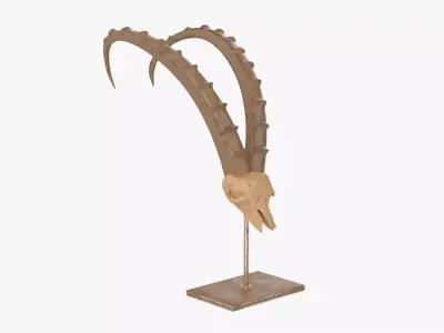 Animal antelope skull statuette Free 3D model