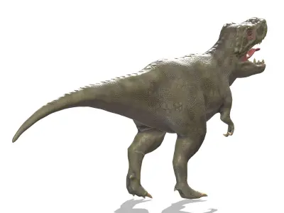 Tyrannosaurus 01 Low Poly PBR Realistic Low-poly 3D model