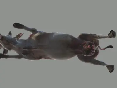 Cattle Mutilation 3D model