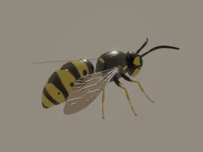 Wasp model 3D model
