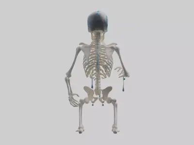 Dripping skeleton model Low-poly 3D model