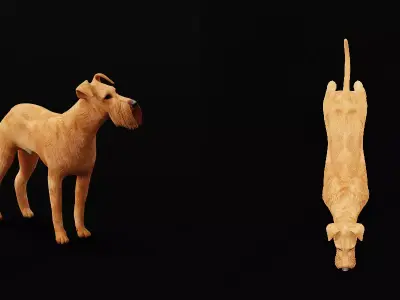 Irish Terrier Dog Free low-poly 3D model