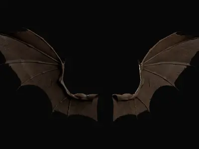 Pair of Bat Wings C4D Low-poly 3D model