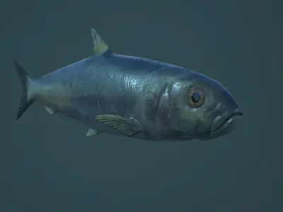 Sardine fish Low-poly 3D model
