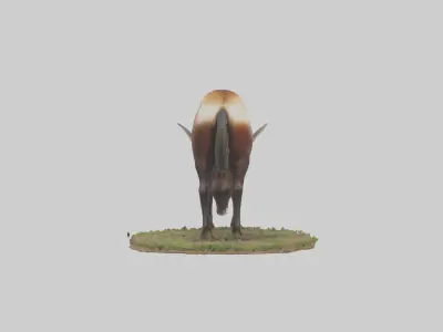 Sable Antelope grazing model Low-poly 3D model